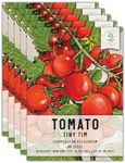 Seed Needs Tiny Tim Tomato Seeds for Planting - Non-GMO, Heirloom & Untreated - Organically Grow an Outdoor Vegetable Garden - Dwarf Plants Produce Cherry Tomatoes (5 Packs)