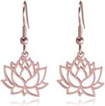 316L Stainless Steel Earrings - Vacuum Plated with 18K Rose Gold