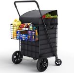 Our Modern Space Shopping Cart w/Wa