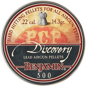Benjamin Hollow Pt. Pellets 500 CT BHP22