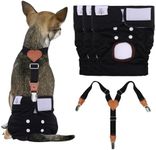 CuteBone Dog Diapers Female 3 Pack Reusable Doggy Diapers with One Suspender for Small Medium Large Dog Period BDD03L