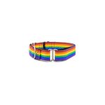 PetWale Rainbow Pride Fabric Dog Martingale Collar | Comfy & Secure Fit | No Neck Strains | Easy to Use & Durable | Stylish Design | Dog Accessory | Size M