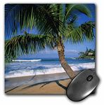 3dRose LLC 8 X 0.25 Inches Mouse Pad, Napili Beach Maui Hawaii USA Douglas Peebles (mp_89649_1)