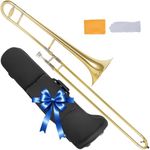 AKLOT Classic Bb Tenor Trombone: Entry-Level B Flat Brass Instruments with Hand-Hammered Bell, Anti-Tarnish Gold Lacquer Finish, Ideal for Beginner, Includes Hard Case, Mouthpiece, Gloves, Cloth
