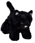 Black Cat Toys