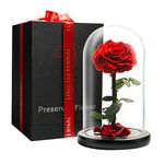 LOVAPPY Preserved Forever Rose in Glass Dome for Her - Beauty and The Beast Eternal Rose - Flowers Birthday Gifts for Women, Gifts for Girlfriend & Gifts for Mom (red, 9 inch)