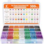 JOREST 300Pcs Car Fuses Assortment 