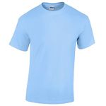 Light Blue Boys Girls Childrens Kids Unisex Plain T-Shirt Tee Shirt 100% Cotton School P.e. Ages 1 2 3 4 5 6 7 8 9 10 11 12 13 14 15 (Bulk Orders Welcome)