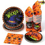 JOYIN 120 Pcs Halloween Dinnerware Set Halloween Tablewar Party Supplies with 30 Pcs Plastic Cups, 30 Pcs 9"/22.8cm Paper Plates, 30 Pcs 7"/17.7cm Plates and 30 Pcs Napkins (Serve 30)