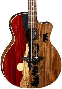 Luna Guitars Vista Bear 4 String Acoustic/Electric Bass with Case, Right (VISTABEARBASS)