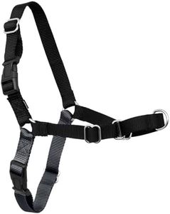 PetSafe Easy Walk No-Pull Dog Harness - The Ultimate Harness to Help Stop Pulling - Take Control & Teach Better Leash Manners - Helps Prevent Pets Pulling on Walks, X-Large, Charcoal/Black