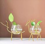 Glass Planter Holder Deer |Glass Pot| Glass Flower Pot| Glass Flower Round Vase Handmade for for Home Decor Round Shape Center Table Bedroom Living Room and Office Decoration (Set of 2) (Golden)