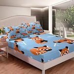 Feelyou Red Panda Fitted Sheet Cute Animal Pattern Bed Sheet Set Kawaii Anime Bedding Kids Toddler Queen Size Includes 1 Sheets & 2 Pillowcases (No Flat Sheet)