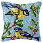 ZUHK DIY Latch Hook Kits,3D Pillow Materials Package Latch Hook Embroidery Kits Cross Stitch Sofa Cushion Cover with Latch Hook Tool fit for Kids and Adults,43x43 cm (Bird B)