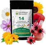Canadian Wildflower 14 Individually