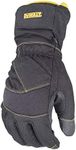 DEWALT DPG750L Extreme Condition 100g Insulated Cold Weather Work Glove, Large
