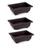 Green Paradise® Bonsai Pots rectangle 30.50 x 21.60x 10.20 cm (Black) (Pack of 3) ideal for Training bonsai trees creating succulent cactus mini gardens adeniums