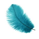 ZUCKER Feather Products Selected Ostrich Drabs Feather, 4-8", Dark Aqua