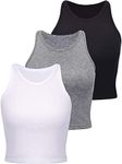 3 Pieces Women's Cotton Basic Sleev