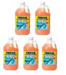 Rain-X RX68106 Windshield Washer Fluid (5 PACK)L8