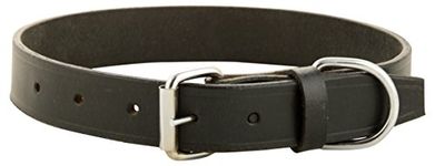 Black Leather Collar