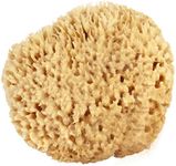 Sea Wool Sponge 13cm - 15cm (Large)