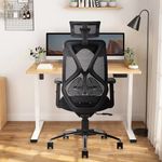 CELLBELL C190 Berlin Office Chair, High Back Mesh Ergonomic Home Office Desk Chair (Black)