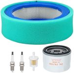 HIPA 394018S 272490S Air Filter for 392642 394018 271271 272490 Vanguard V-Twin 12.5-21hp Lawn Mower 691035 Fuel Filter 492932S Oil Filter