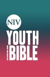 NIV SOUL SURVIVOR YOUTH BIBLE HARDBACK