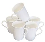 Coralgraph Inc Set of 6 Fine Bone China Mugs Gift Boxed Glossy White Cups