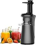 Professional Juicer Machine with Quiet Motor - Slow Masticating Juicers Whole Fruit and Vegetable, Professional Cold Press Juicer Extractor - Reverse Function with Brush