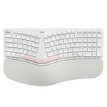 Nulea RT05B Wireless Ergonomic Keyboard, Split Keyboard with Cushioned Wrist Rest, Bluetooth and USB Connectivity, USB-C Rechargeable, Compatible with Windows/Mac