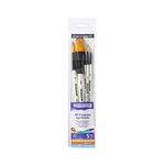 DALER ROWNEY Graduate, Set of 5 Paintbrushes, Landscapes