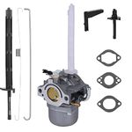 Carburetor for Briggs Stratton 796122 696737 794593 793161