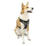 Kurgo Dog Harness for Large, Medium, Small Active Dogs | Pet Hiking Harness for Running & Walking | Everyday Harnesses for Pets | Reflective | Journey Air (Black, X-Large)