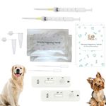 Pregnancy Test Kit For Dogs