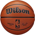 WILSON NBA Authentic Outdoor Basket