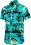 EUOW Men's Hawaiian Shirt Short Sleeves Printed Button Down Summer Beach Dress Shirts(Multicolored BL3,XL)