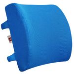 LOVEHOME Lumbar Support Pillow for Chair and Car, Back Support for Office Chair Memory Foam Cushion with Mesh Cover for Back Pain Relief -Azure