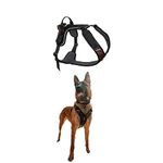 Non-stop dogwear Rock Harness Adjustable Dog Harness for Large Dogs with 3 Leash Clips, Handle and Reflective, Black/Orange, Size L