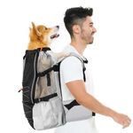 Pawaboo Dog Backpack Carrier, Dog Carriers for Small Medium Breed -Adjustable & Breathable Mesh- Puppy Backpack Carrying with Chest Waist Belt, Ergonomic Dog Backpack for Hiking Travel Camping, L