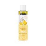 Freeman Birch Toner for Face, Shine Control for Oily Skin or All Skin Types, Facial Pore Minimizer