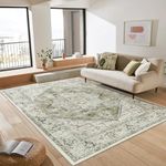 LIVEBOX 6x9 Sage Green Rug for Livi