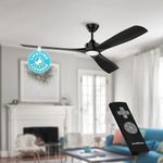 Ceiling Fans with Lights and Remote, 60 Inch Black Ceiling Fan Light for Bedroom Living Room Flush Mount Outdoor Fans for Patios, DC Motor 3 Reversible Blades, Dimmable LED, Color Adjustable, ETL