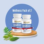 Wellness Mantra DM 120 | Diabetic Care | Blood Sugar Control Ayurvedic Tablets | Helps to Protect From Long Term Complications of Diabetes | Gudmar, Jamun, Karela, Methi & 16 More Herbs (Pack of 2 - 120 Tablets)