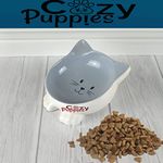 PetSafe Cat Bowls