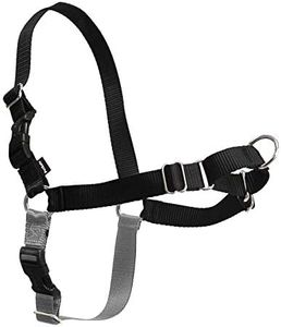 PetSafe Easy Walk, Pettorina per Cani, Pettorina Anti-tiro per Cani, Per l'Addestramento con Guinzaglio e Pettorina, Impedisce al Cane di Tirare e Strozzarsi, Nero, M, Medio