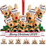 Personalised Deer Christmas Tree Ornament Family of 2,3,4,5,6,7,8 Name Cute Santa Reindeer 2024 Christmas Decoration Xmas Gift-Family of 7