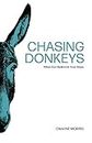 Chasing Donkeys: When God Redirects Your Steps