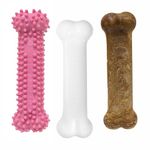 Nylabone Puppy Chew Toy & Treat Puppy Starter Set, Pink Puppy Chew Toys for Girls